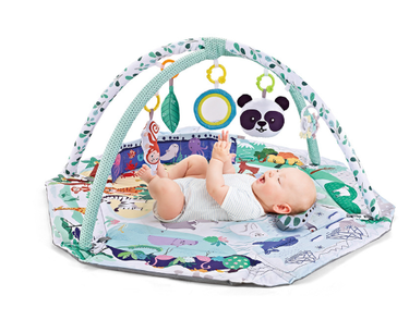 Multifunctioneel 8-in-1 Speelkleed Baby met 6 Afneembare Speeltjes voor Zintuiglijke Ontwikkeling en Motoriek – Meerkleurig 0